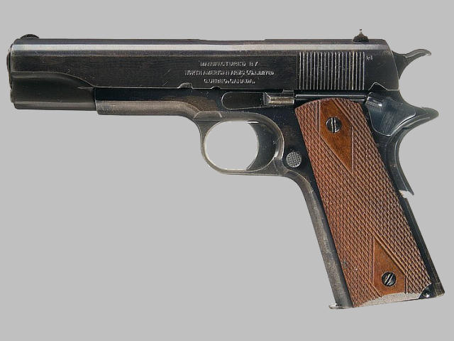 Rg M1911(Colt M1911)
