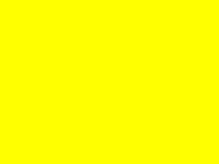 yellow flga