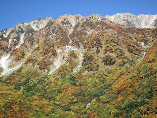 富山県：立山黒部アルペンルートの黒部平