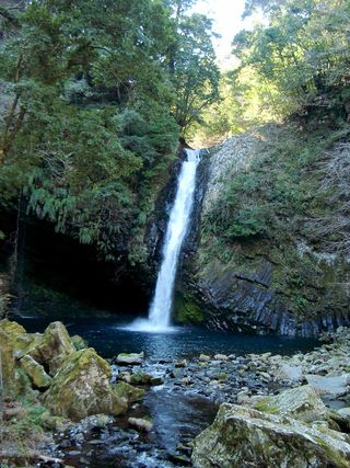 静岡県：伊豆の浄蓮の滝