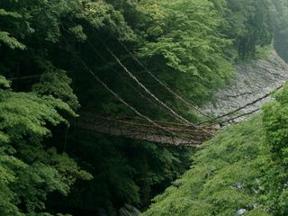 徳島県：吉野川水系、祖谷渓の祖谷のかずら橋