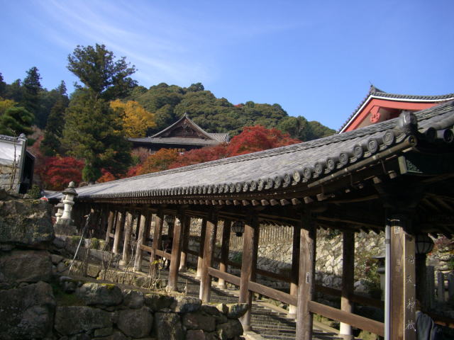 Pichori 奈良県：長谷寺の登廊