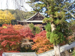 奈良県：長谷寺の本堂