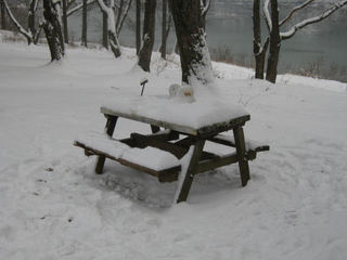 韓国：南怡島(ナミソム) 冬のソナタ ファーストキスのベンチ