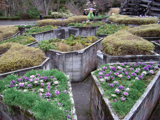 神奈川県：箱根 彫刻の森美術館 星の庭