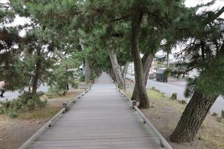 静岡県：三保の松原 神の道