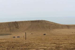 鳥取県：鳥取砂丘 馬の背