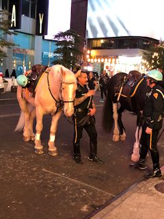 ニューヨーク：ニューヨーク市警察騎馬部隊（New York City Police Department Mounted Unit）